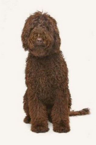 Cover of Labradoodle