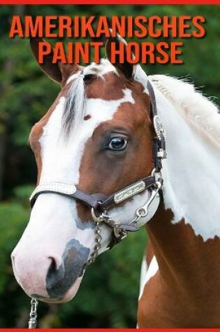 Cover of Amerikanisches Paint Horse