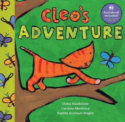 Book cover for Cleo's Adventure