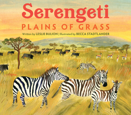 Book cover for Serengeti