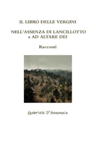 Cover of IL LIBRO DELLE VERGINI - NELL'ASSENZA DI LANCILLOTTO e AD ALTARE DEI