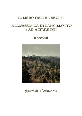 Book cover for IL LIBRO DELLE VERGINI - NELL'ASSENZA DI LANCILLOTTO e AD ALTARE DEI