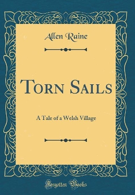 Book cover for Torn Sails