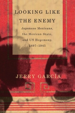 Cover of Looking Like the Enemy
