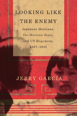 Book cover for Looking Like the Enemy