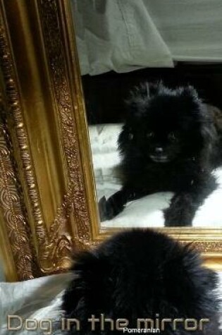 Cover of Dog in the Mirror Pomeranian