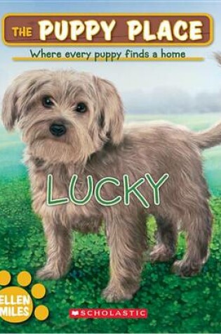 Cover of Lucky