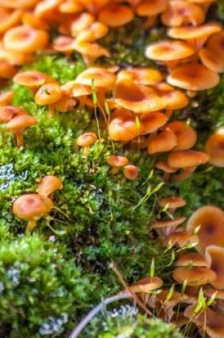 Cover of Wild Mushrooms Growing Journal
