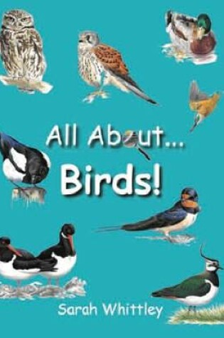 Cover of All About Birds