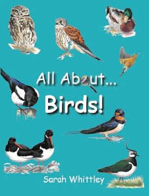 Book cover for All About Birds