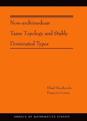 Book cover for Non-Archimedean Tame Topology and Stably Dominated Types (AM-192)