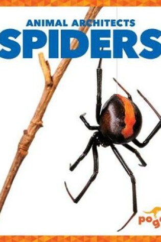 Cover of Spiders