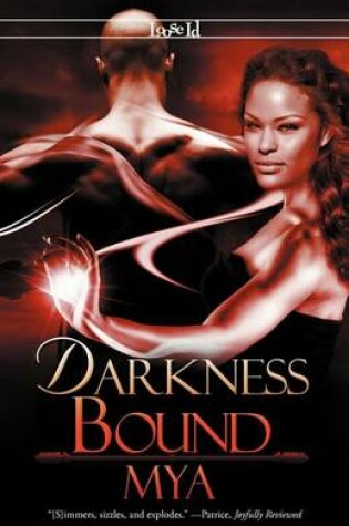 Cover of Darkness Bound