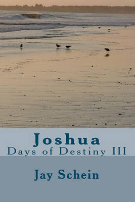 Book cover for Joshua