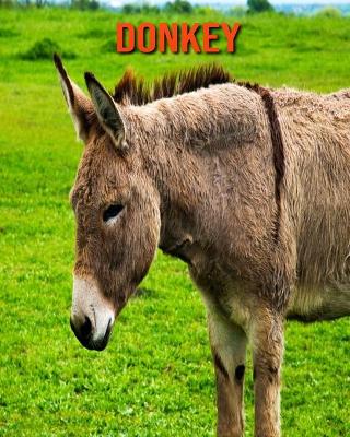 Book cover for Donkey
