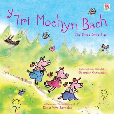 Book cover for Tri Mochyn Bach, Y