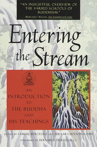 Book cover for Entering the Stream