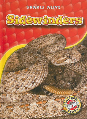 Book cover for Sidewinders