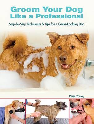 Book cover for Groom Your Dog Like a Professional