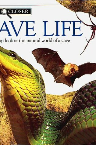 Cover of Cave Life