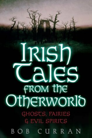 Cover of Irish Tales from the Other World