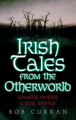 Book cover for Irish Tales from the Other World