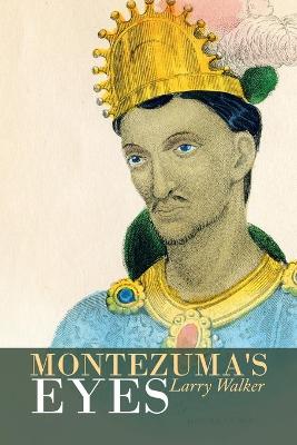 Book cover for Montezuma's Eyes