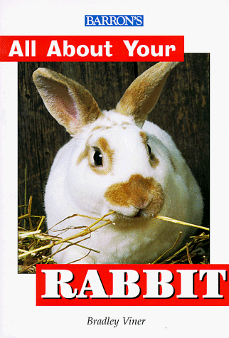 Book cover for Rabbit