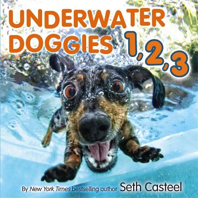 Book cover for Underwater Doggies 1,2,3