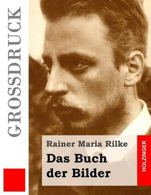 Book cover for Das Buch der Bilder (Grossdruck)