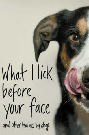 Cover of What I Lick Before Your Face