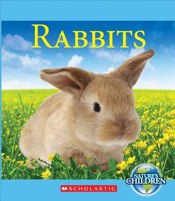 Cover of Rabbits