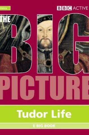 Cover of Big Picture Tudor Life E Big Book Multi User Licence