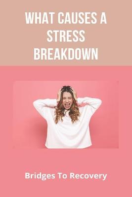 Book cover for What Causes A Stress Breakdown