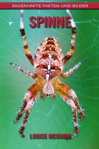 Cover of Spinne