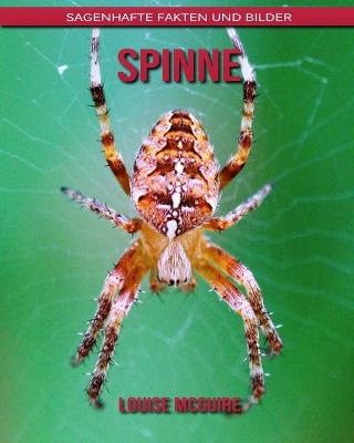 Book cover for Spinne