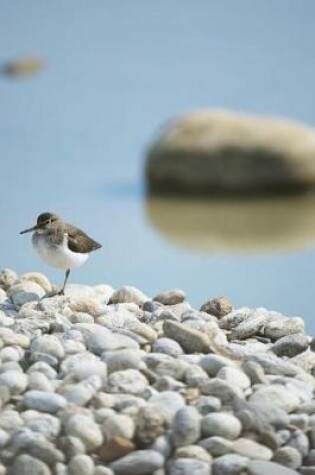 Cover of Charadrius Alexandrinus Kentish Plover Journal