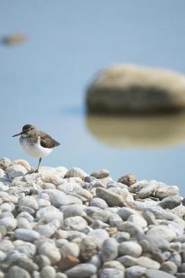 Book cover for Charadrius Alexandrinus Kentish Plover Journal