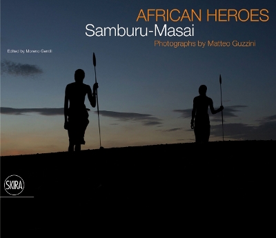 Book cover for African Heroes