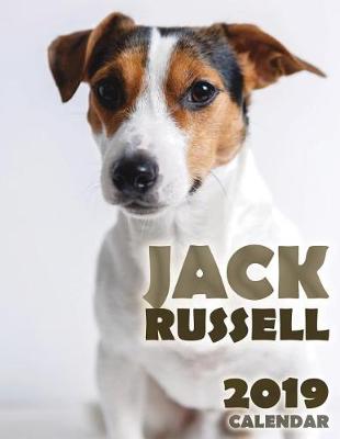 Book cover for Jack Russell 2019 Calendar