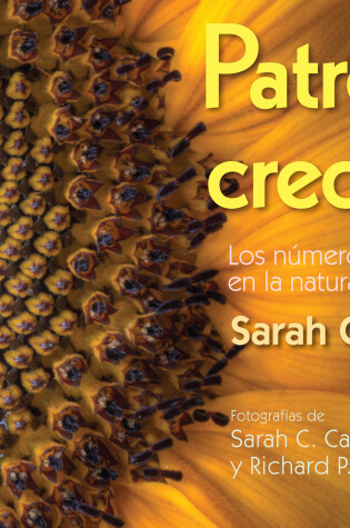 Cover of Patrones Crecientes (Growing Patterns)