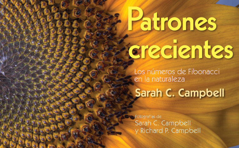 Book cover for Patrones Crecientes (Growing Patterns)