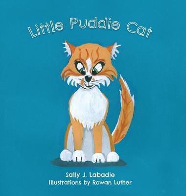 Book cover for Little Puddie Cat