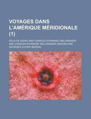 Book cover for Voyages Dans L'Amerique Meridionale (1)