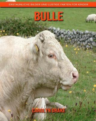 Book cover for Bulle