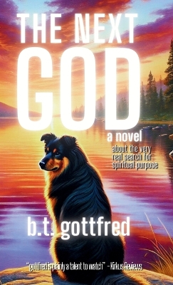 Book cover for The Next God