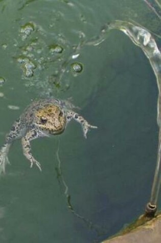 Cover of Happy Frog Swimming in a Fountain Journal