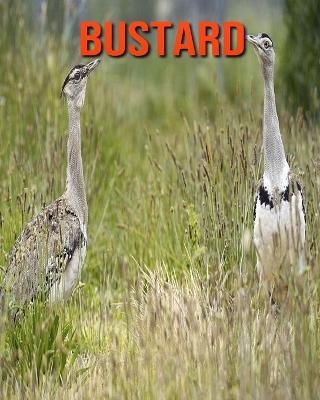 Book cover for Bustard