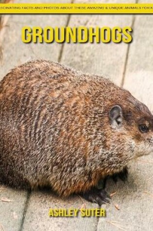 Cover of Groundhogs