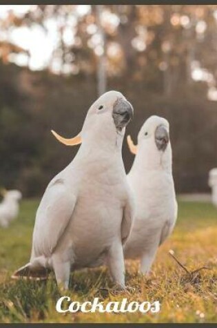 Cover of Cockatoos 2021 Wall Calendar